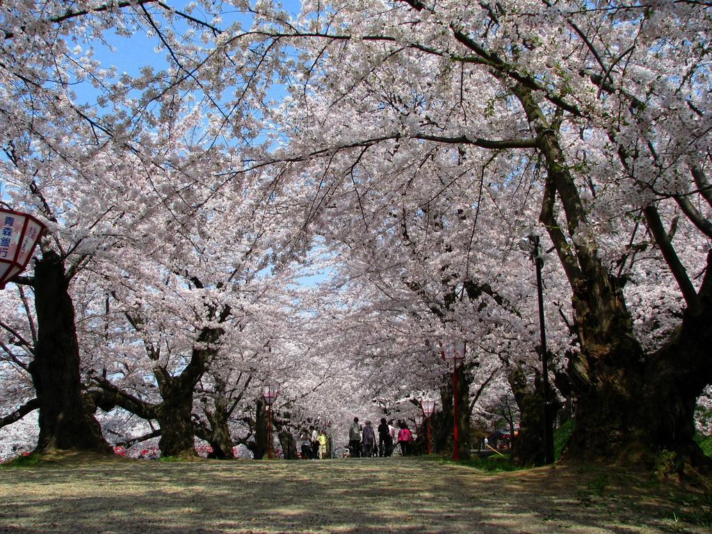 Agri In Holiday Hirosaki Bagian luar foto
